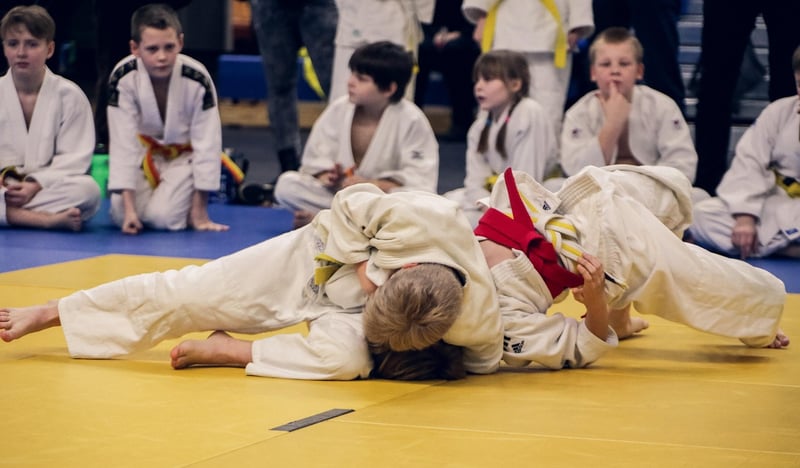 Jiu-Jitsu Training